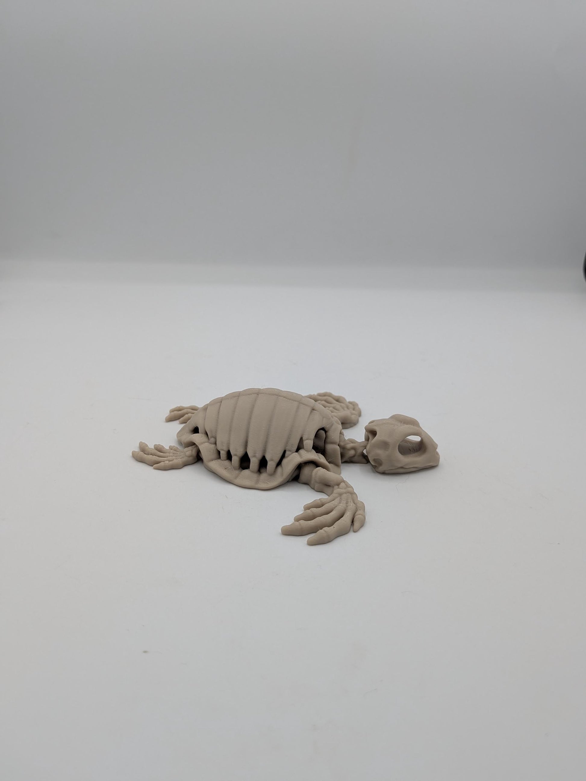 Flexi turtle skeleton 3D print in bone white resting flat, side view on white background