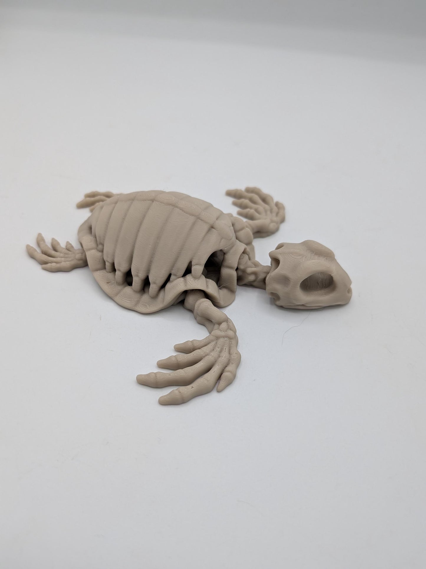 Flexi turtle skeleton articulated 3D print in bone white, angled view showing ribbed shell and skull head