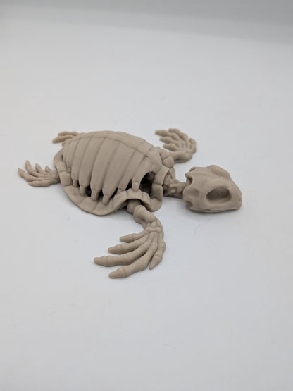 Flexi turtle skeleton articulated 3D print in bone white, angled view showing ribbed shell and skull head