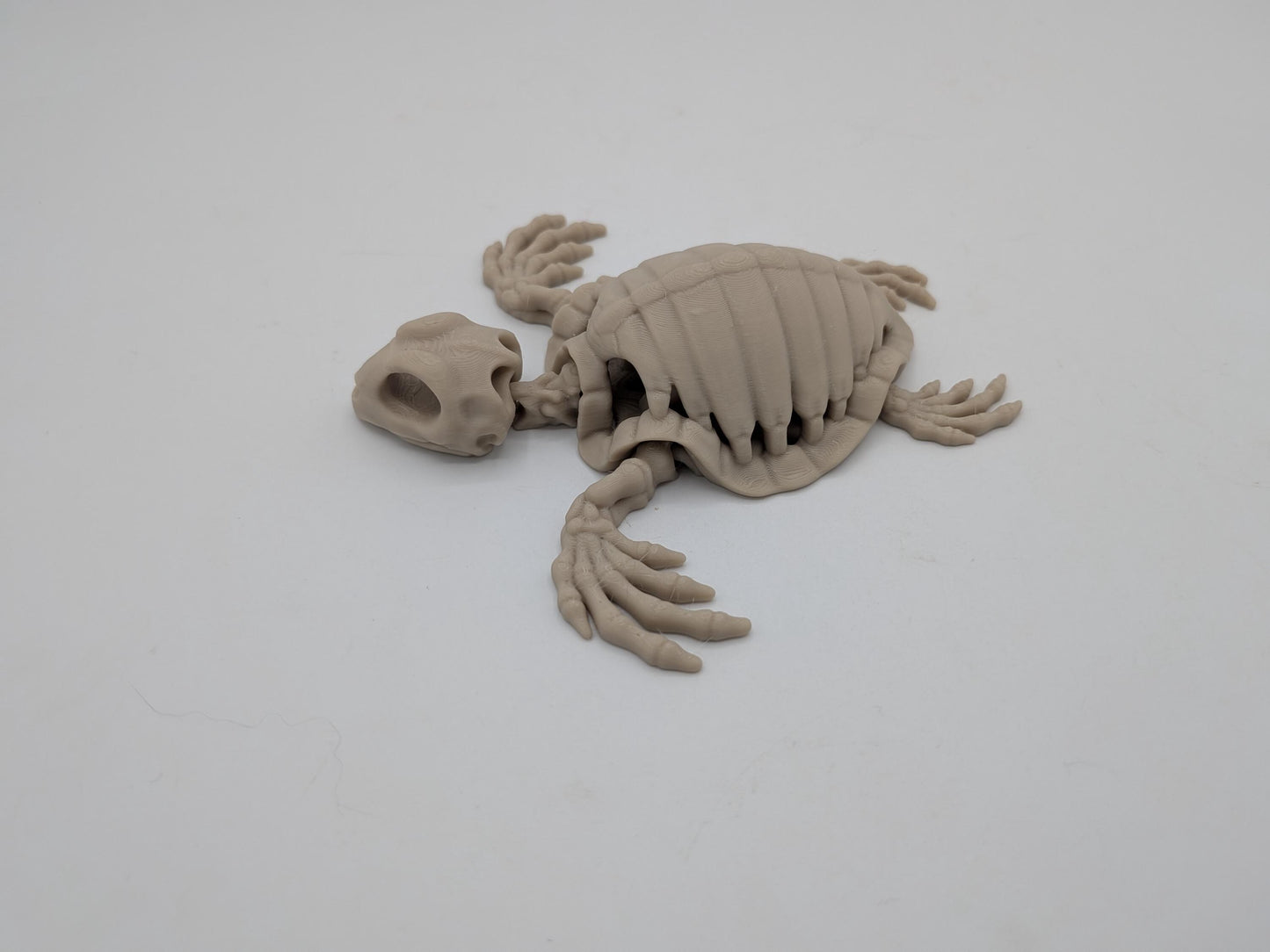 Articulated turtle skeleton flexi posed with bony flippers spread, viewed from the side, 3D printed